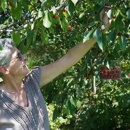 B&B Al Reparo 페데로바